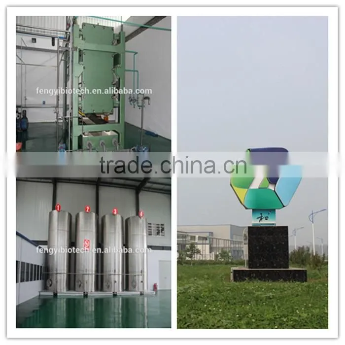 Wholesale Rubber Paintball Balls