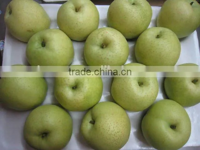 2014 crop shandong golden pear