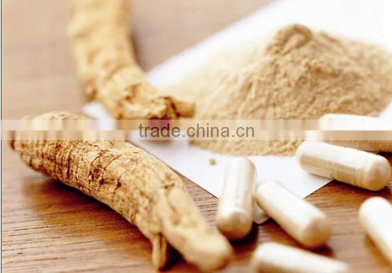 Famous Chinese Medicine Astragalus Extract,Astragalus Extract Capsule,Astragalus Membranaceus