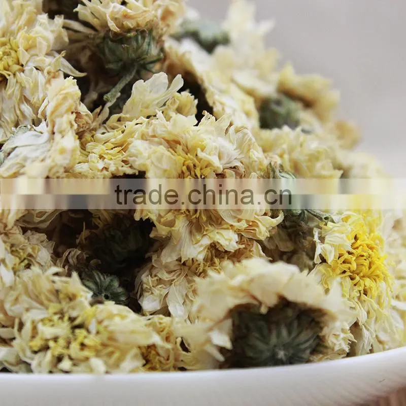 chrysanthemum flower tea from huangshan,chinese chrysanthemum tea,huangshan tribute chrysanthemum