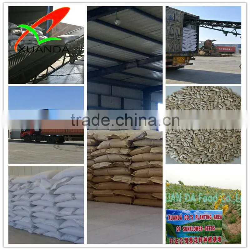 sunflower kernels chips bird food