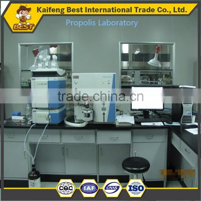 High quality bee propolis powder hot sale