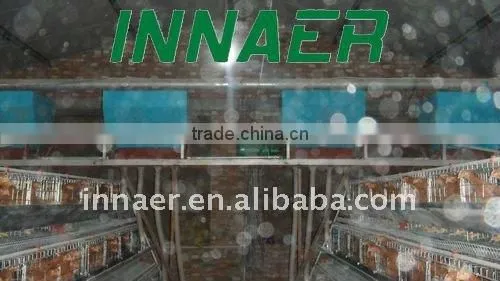 Poultry layers/broilers automatic feeding system
