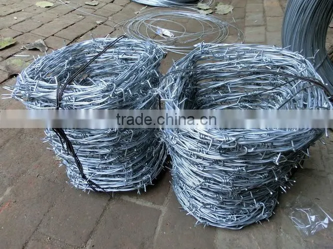 galvanized barbed wire