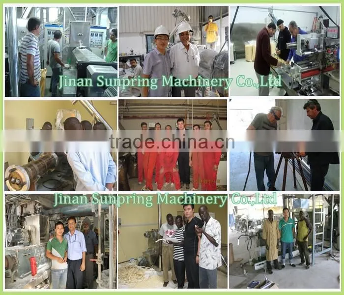Textured Soy Meat Processing Line