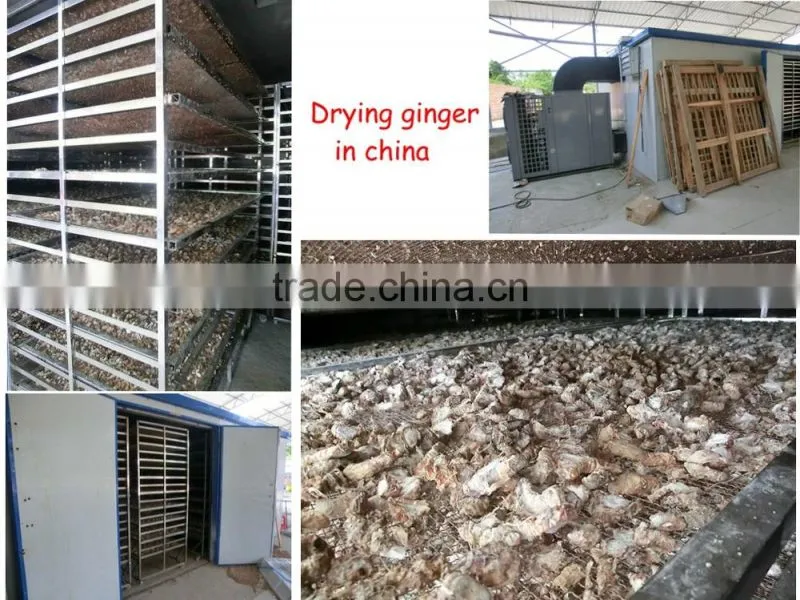 Professional Manufacture Vegetable And Fruit Processing Machine(Equipment /Line)/ dry fruits/ dried food processing machiney