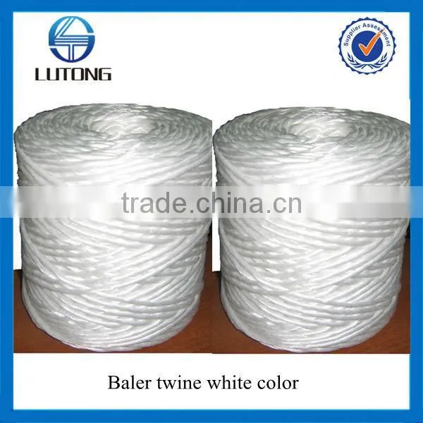 Baler twine