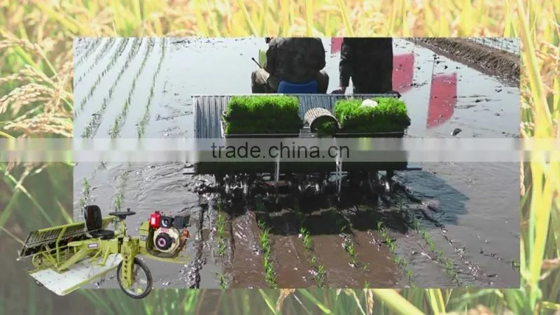 2016 good quality high speed rice planting machine