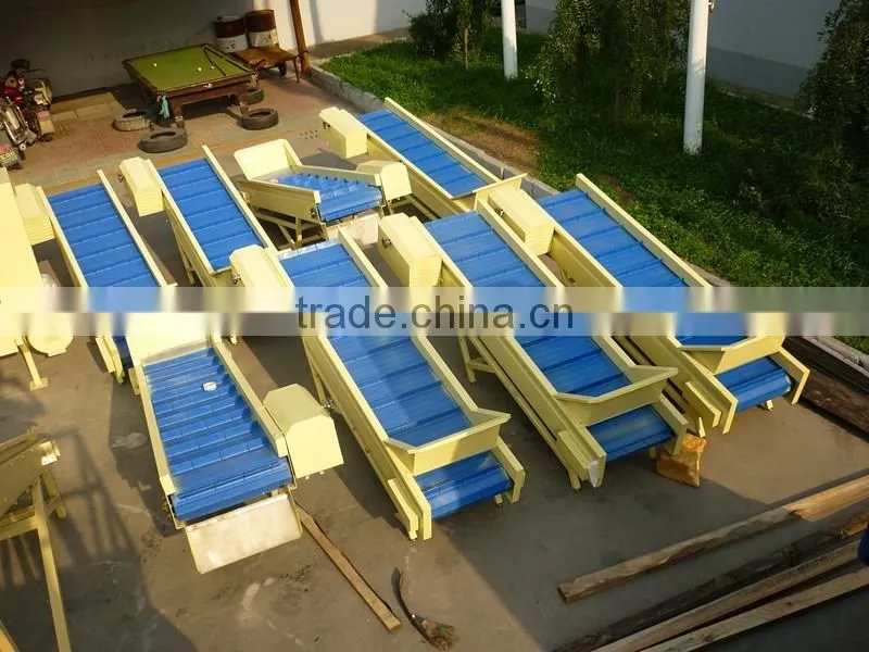Plastic belt Food Vegetable Fruit Hoisting Machine Elevator Hoister Conveyor
