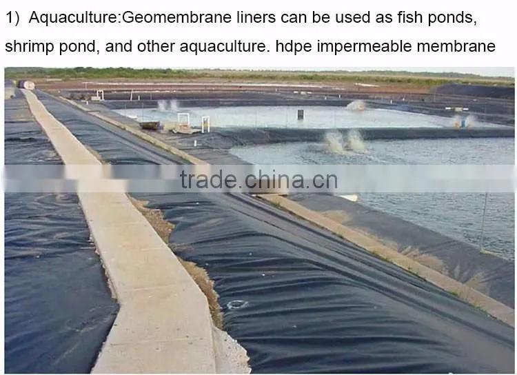 hdpe geomembrane fish pond liner