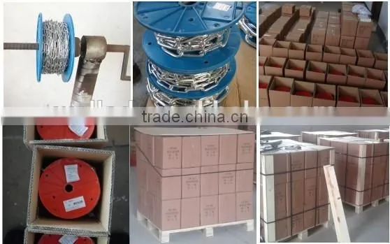 3mm Electro Galvanized Steel Chain weld link chain