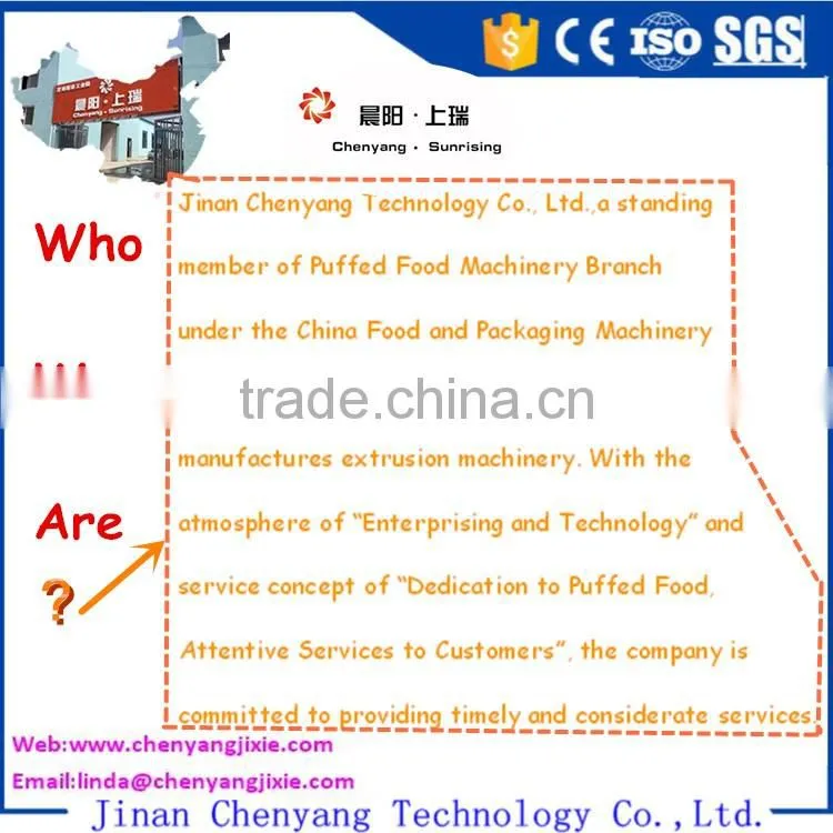 2016 hot selling new style best price automatic pet food production line