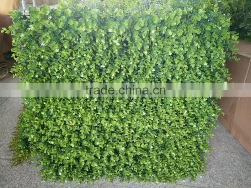 Fashion green back wall design