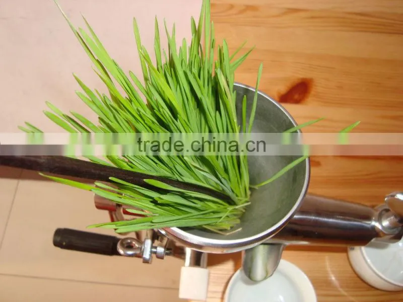 Weston Cast Iron Wheat Grass Juicer