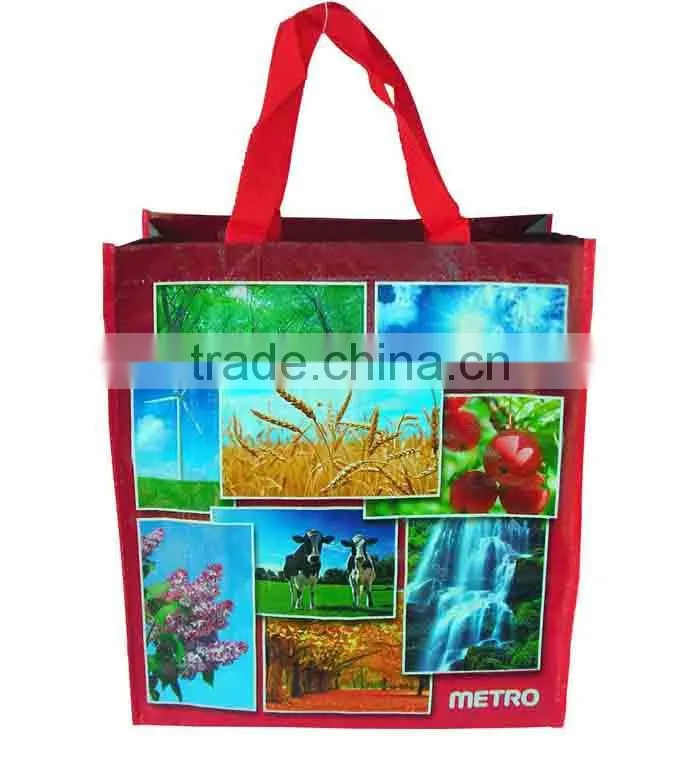 laminated PP Woven Bag, China PP Woven Bag, PP Woven Shopping Bag