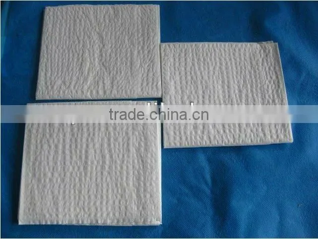 Scrim Paper Hand Towel