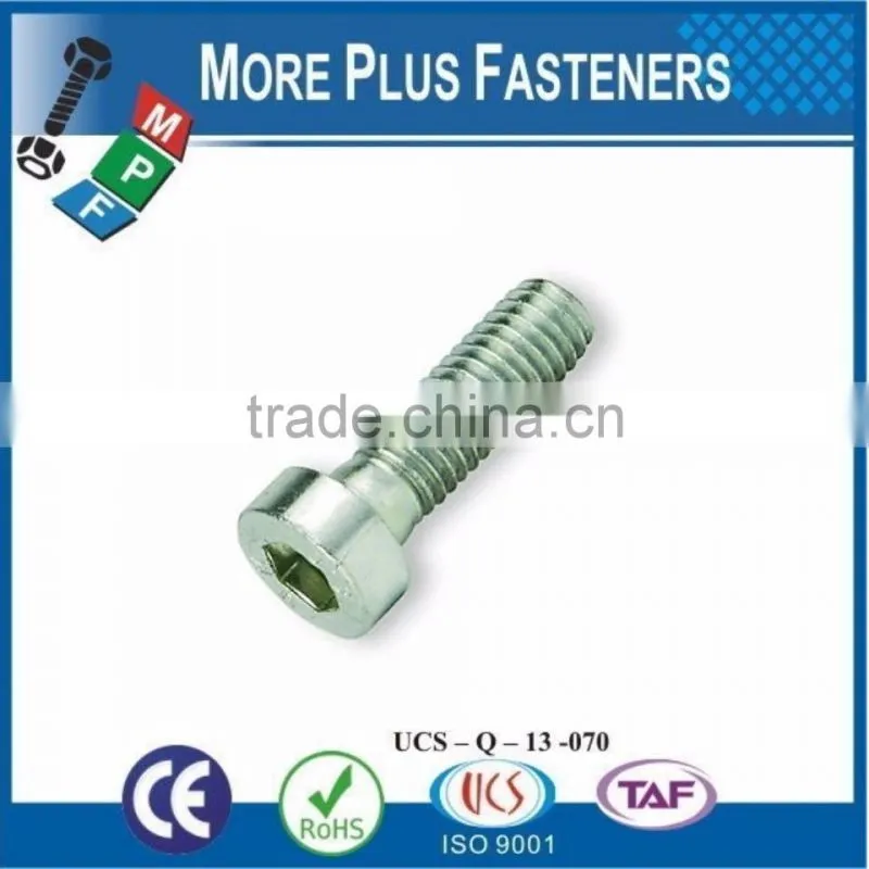 Made In Taiwan Low Head Hexagon Socket Cap Screw