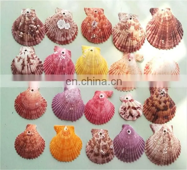 DIY natural seashell color style charm shell accessories for jewelry finding
