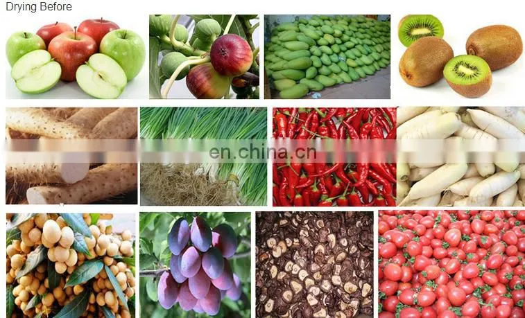 Industrial/commercial tunnel mango microwave dryer/drying machine/dehydrator