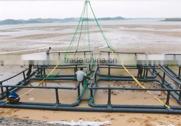 2mx2m 4mx4m 6mx6m HDPE Cages for Aquaculture