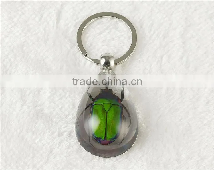 Real bug flower sea horse scorpion wholesale key chain rope