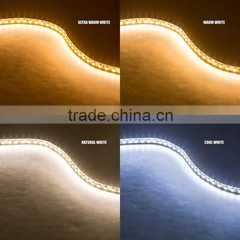 Hot selling 240leds/meter 12V double row 3014 smd led strip