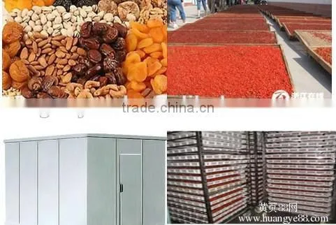 vacuum dryer equipment/machine for fruit/vegetable