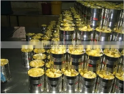 Vietnam Canned pineapple in light syrup