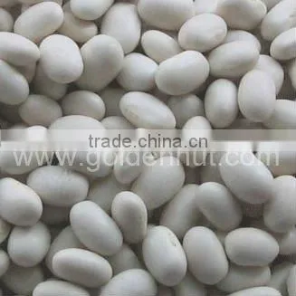 kidney beans