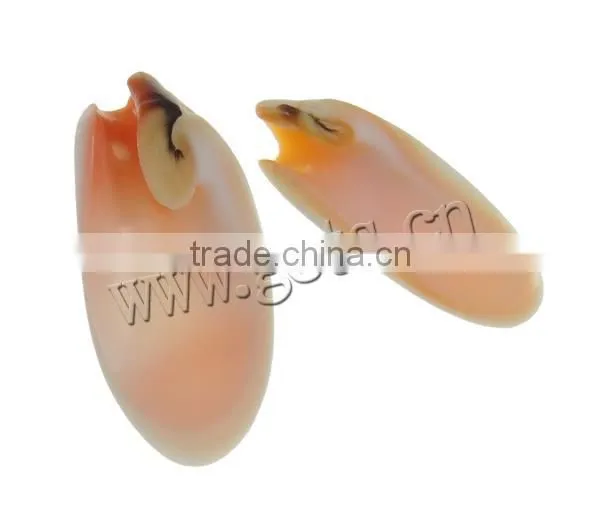 10.5x25x4-13x33.5x6mm Trumpet Shell Natural Freshwater Shell Pendants