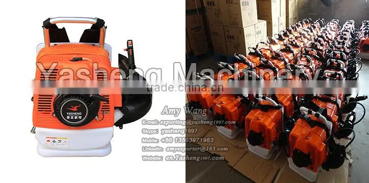 Mini Leaf Blower for Garden Work