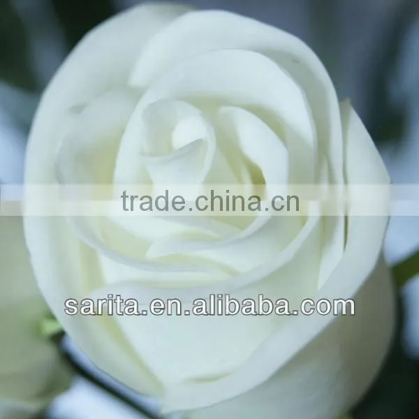 hot sale artificial real touch flower rose for wedding decoration