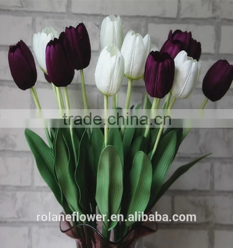 classial natural flower white tulip flower with supply