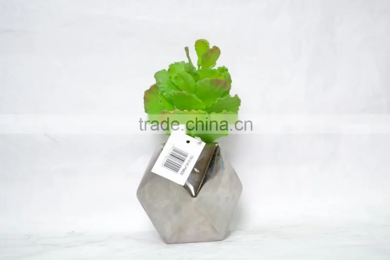 Real touch artificial succulent for home decoration