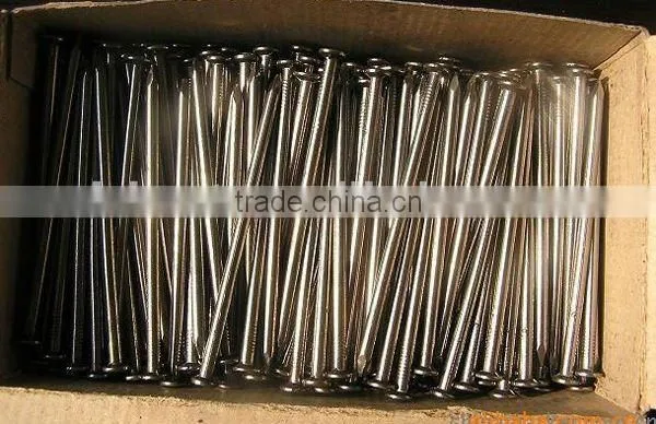low price flat round iron common wire nail factory