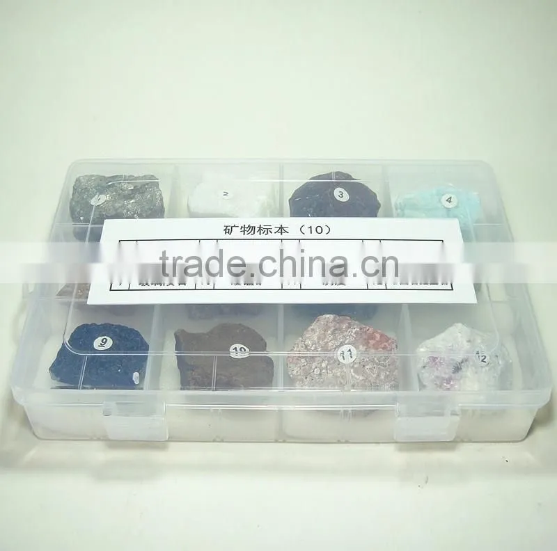 12 Kinds Mineral Teaching Toy