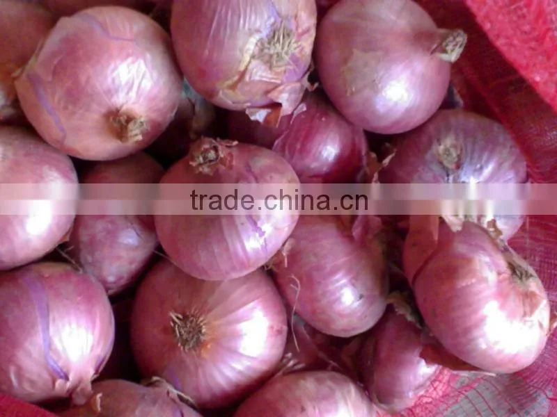 red small onion price