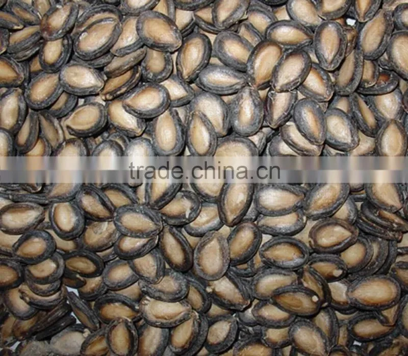 new crop high quality melon seed