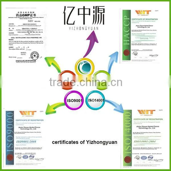 Chinese Traditional Medicine Radix Isatidis(Ban lan gen)