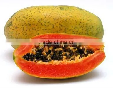 papaya powder