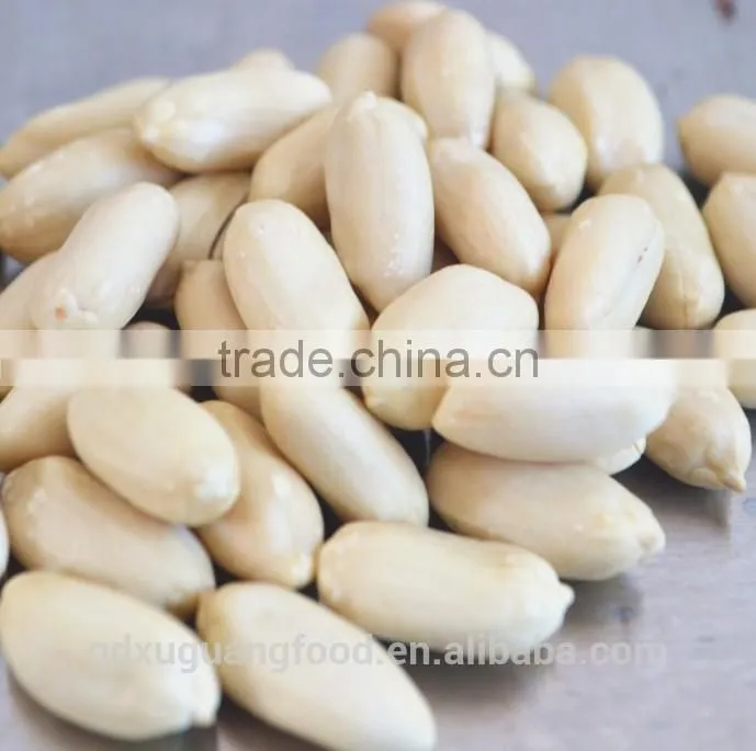 chinese shandong long type blanched peanut