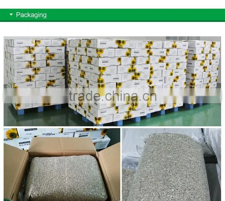 chinese bakery sunflower seeds kernel hot sale