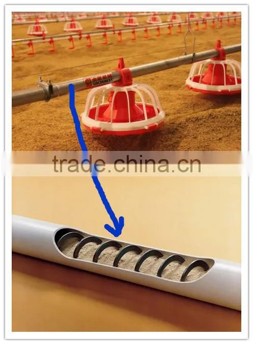 Poultry equipment pan feeder use flex auger