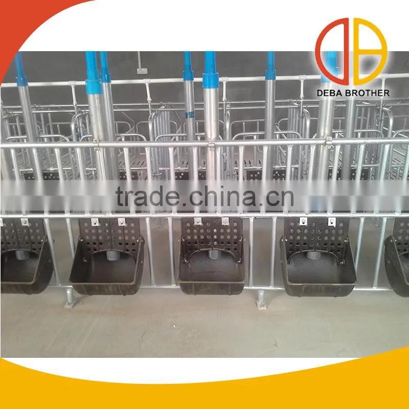 Automatic Pig Feeding System