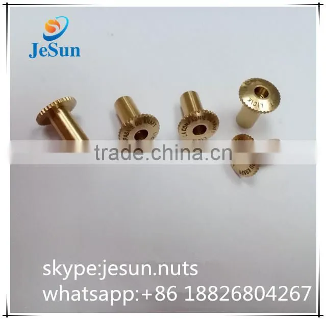 Alibaba made in China Brass Rivet ,Brass Male Female Screws with Logo