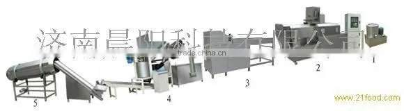 Crispy Fried Salad Snacks Processing Plant