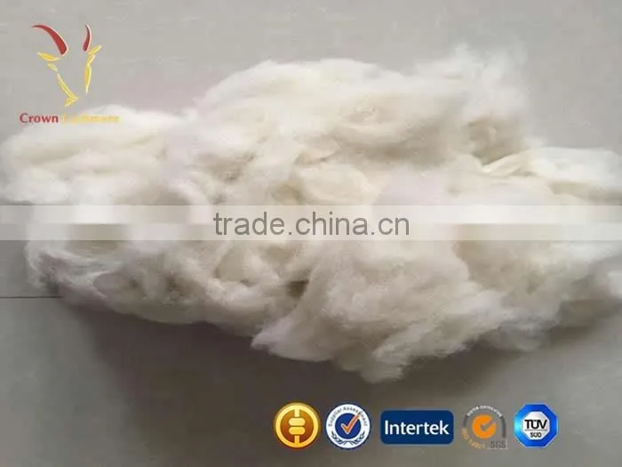 Whosale Kashmir Pure Cashmre Fiber Sale