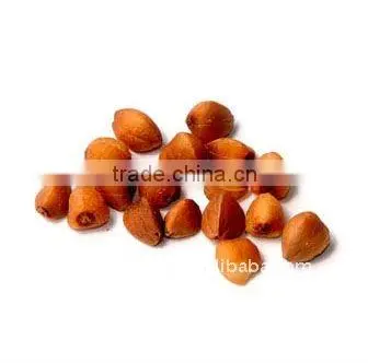 Chinese green buckwheat kernels