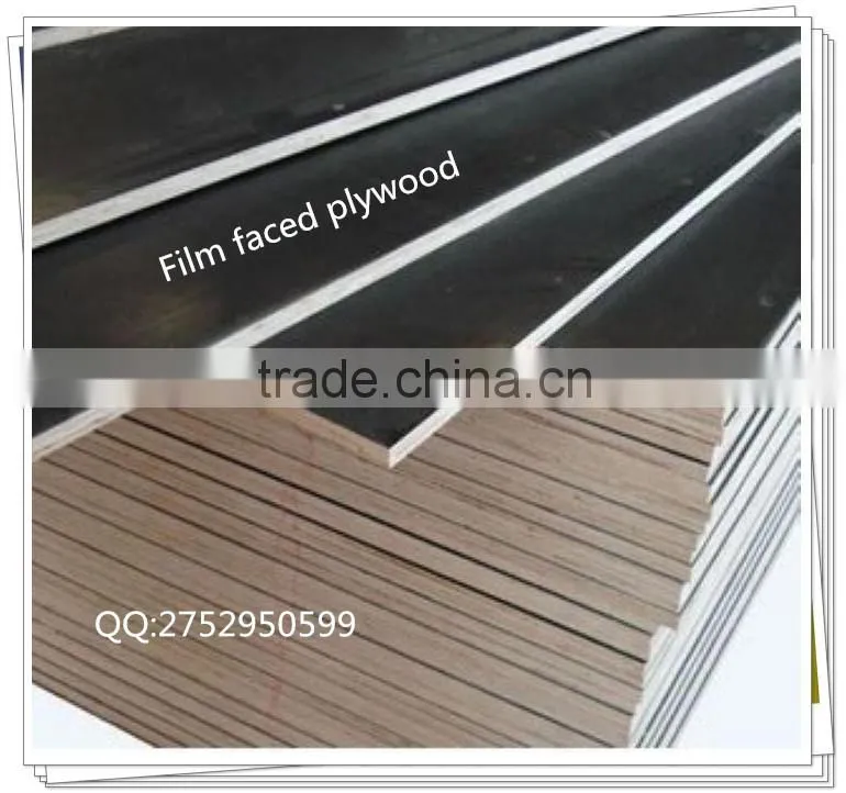 Plywood/ film faced plywood/commercial plywood