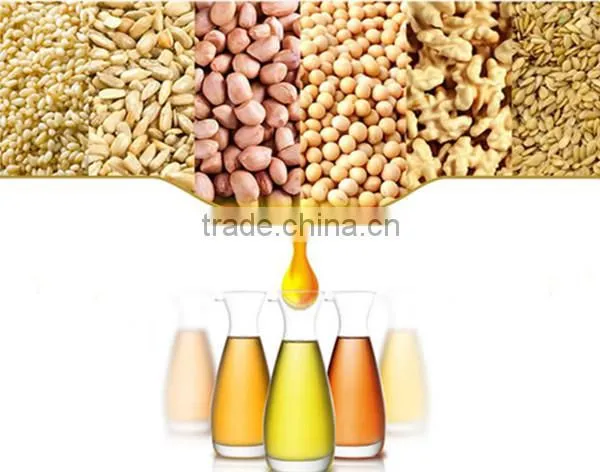 China supplier vegetable oil press / seed oil extraction hydraulic press machine